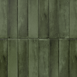 Carruzo Costa keramische wandtegels 34 stuks 6x24_6cm Selva