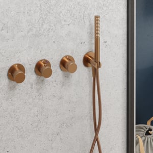 Blaufoss Pavilion thermostatische inbouw douchekraan, inclusief inbouwelement