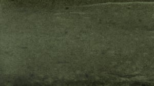 COSTA_Selva.png