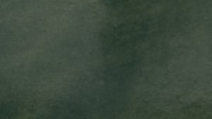 MEDINA_Selva.png