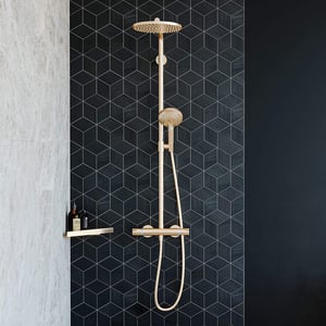 Hansgrohe Raindance Select S240 colonne de douche de pluie