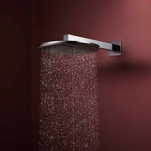 Hansgrohe Raindance Alive S tête de douche