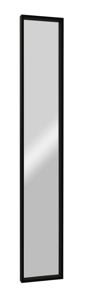 Balmani Expo rechthoekig toiletspiegel zwart 17 x 109 cm