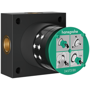 Hansgrohe Raindance Alive inbouwelement voor hoofddouche met 2 jets