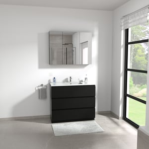 Linie Montro Spiegelschrank