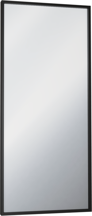 Balmani Expo rechthoekig toiletspiegel zwart 40 x 90 cm