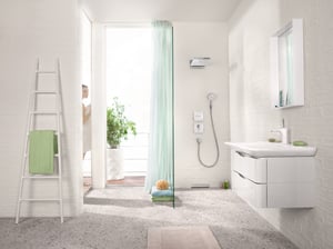 Hansgrohe Raindance Select S120 Handbrause