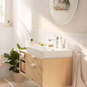 Hansgrohe Rebris S110 wastafelkraan