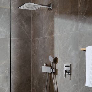 Hansgrohe Raindance Select S120 Handbrause