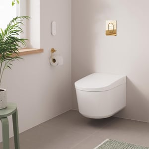 Grohe Sensia douchetoilet