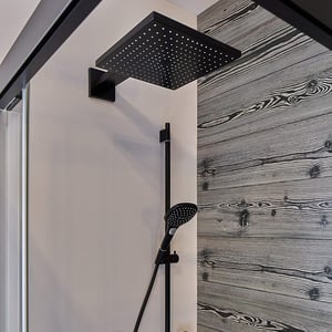 Hansgrohe Raindance E300 tête de douche