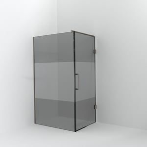 Balmani Modular inloopdouche met deur: 120 x 200 cm met deur 90 cm, Rookglas met matte strook, Brushed CoolMetal profielen