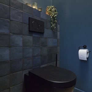 Sigma20 plaque de déclenchement