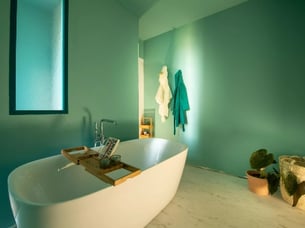 Jungle-Fieber in Kortrijk