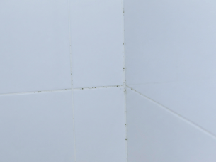 2 op de 5 Belgen hebben schimmel in de badkamer: een hardnekkig en onderschat probleem