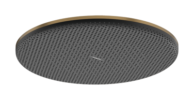 Hansgrohe Raindance Alive S Kopfbrause