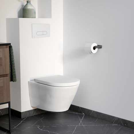 toilette