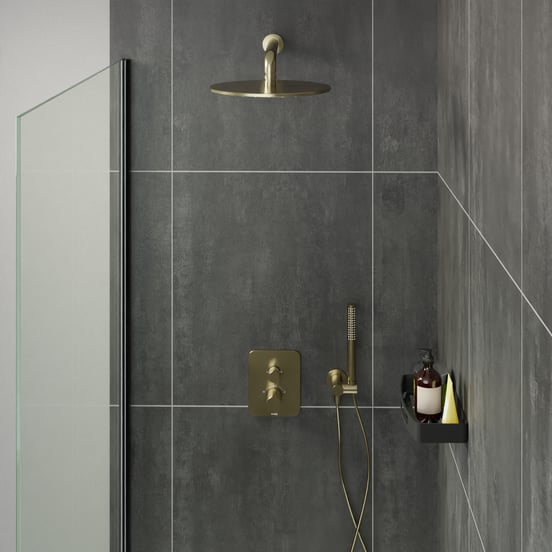 Blaufoss Round handdouche met slang 1 straalfunctie Brushed Champagne Gold