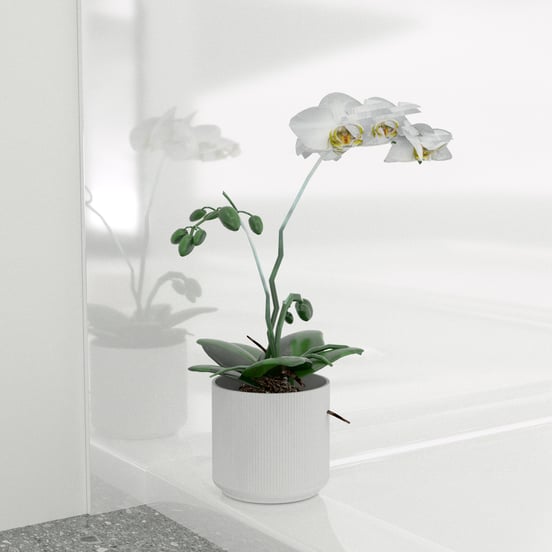 Linie Wall douchewandpaneel 80 x 220 cm acryl Hoogglans Wit