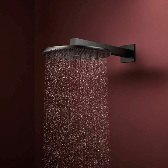 Hansgrohe Raindance Alive S Hoofddouche rond, 1 jet, Ø30cm Brushed Black Chrome
