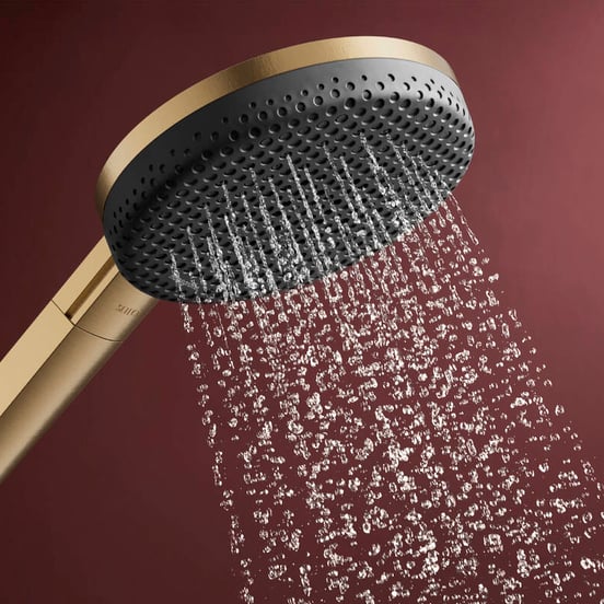 Hansgrohe Raindance Alive Select S 125 Handbrause-Set 3 Strahlfunktionen Brushed Bronze