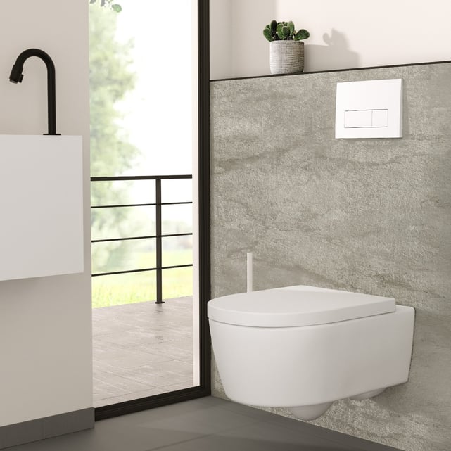 toilet
