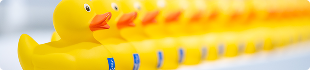 Reihe gelber Enten mit X2O Logo auf Ladentheke